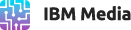 Web und SEO Agentur Fidan Friedrichshafen - IBM Media Logo