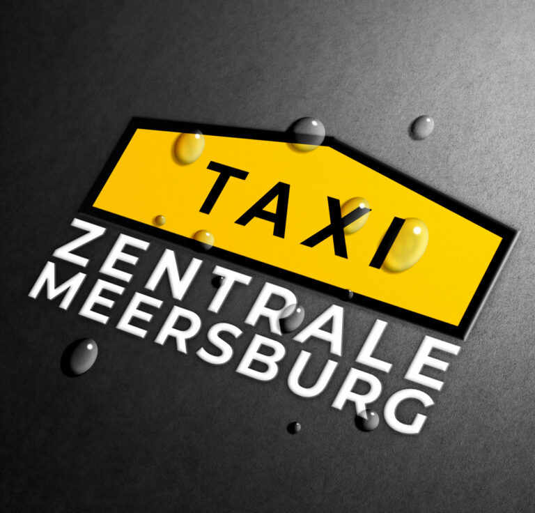 Taxizentrale Meersburg GmbH Logo