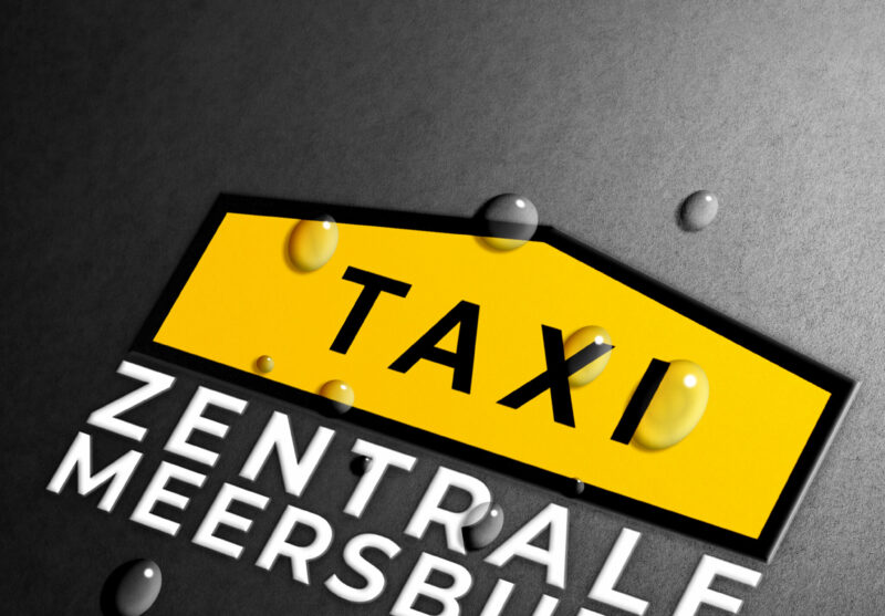 Taxizentrale Meersburg GmbH Logo